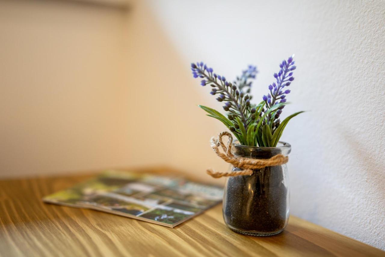 Apartman Medved 슬루니 외부 사진